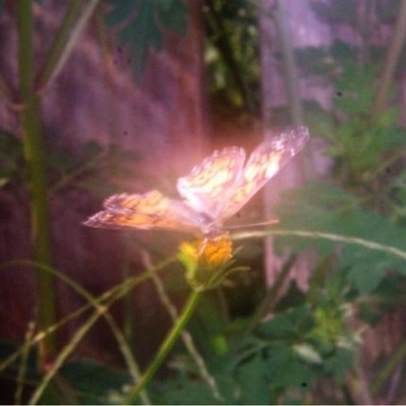 Meet your Posher, Hannah - Picture 1 of 1